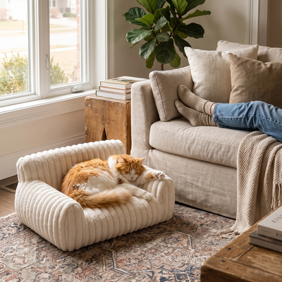 Loveseat corduroy cat couch in use with a cat curled into the corner