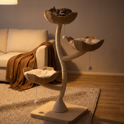 Monarch cat tower in a warm evening interior with a cat asleep in a condo