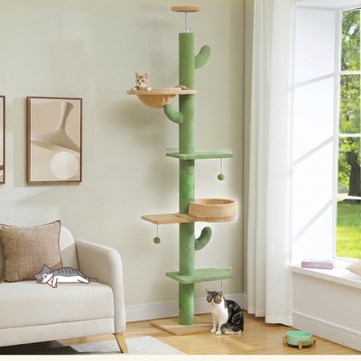 Nopal cactus cat tree with hammock on a plain white background