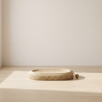 Ovale rope cat scratching board in a minimal room against a warm off-white wall