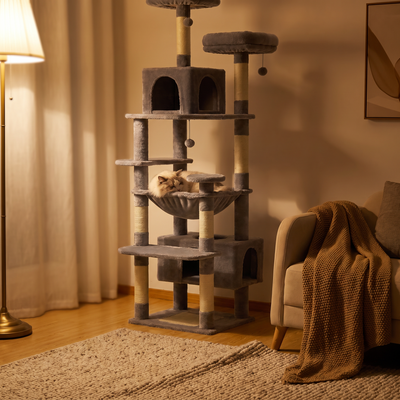 Summit cat tower in warm evening light with a cat curled asleep in the hammock