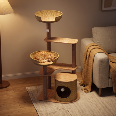 Vantage rattan cat climbing frame in warm evening light with a cat asleep on the platform